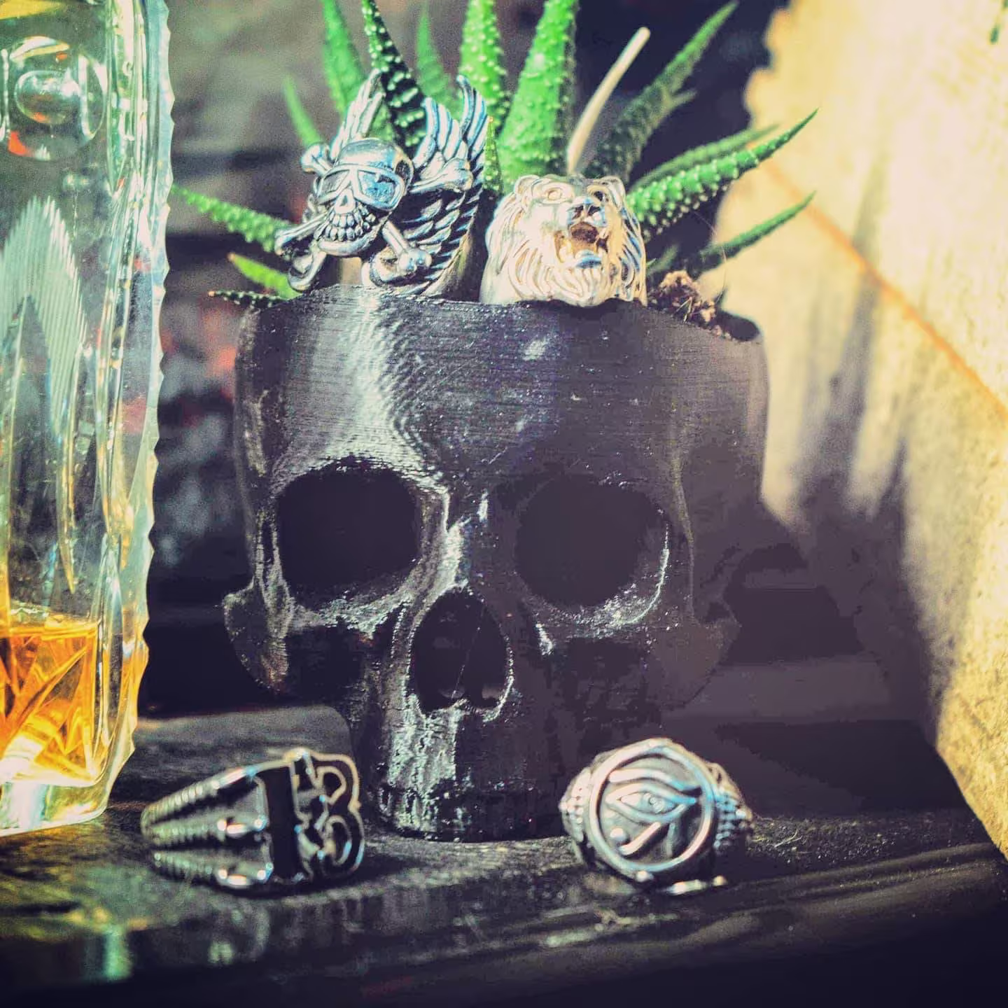 Skull Succulent Planter