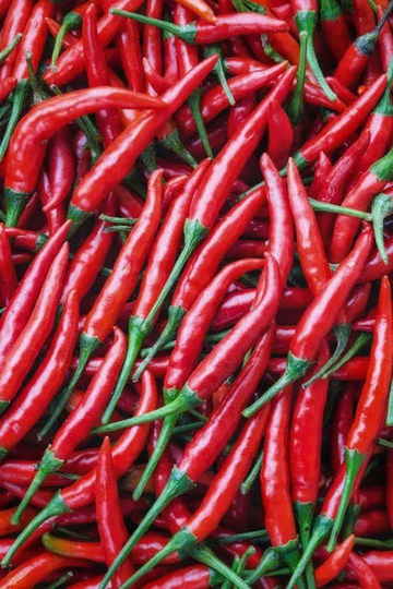 Chilli Pepper Cayenne 15 Seeds | Add A Spicy Flair To Your Dishes