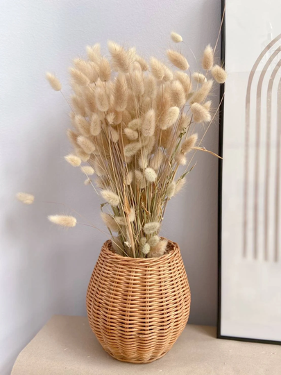 New Harvested This Season, Natural Dry Bunnytail Grass, Lagurus Grass Flower Decoration, Arrangement, Natural Color Dried