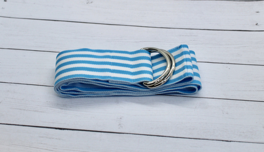 Women's Light Blue & White Striped Grosgrain Ribbon Belt, Spring Sumer Gold Or Silver Hardware, All Season Belt