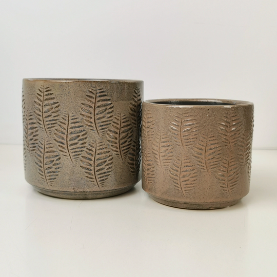 Apricot Glazed "Fern