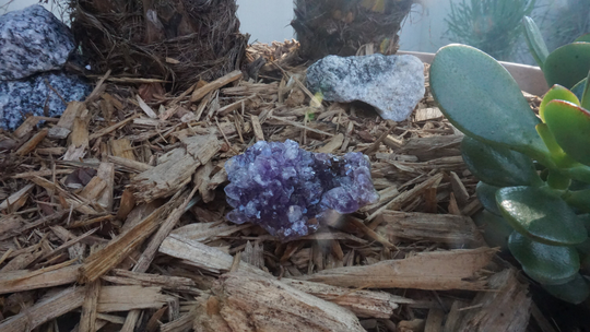 Amethyst Geode #430 | Crystals Deep Purple Gemstone Chakra Stones Wicca Witchcraft Collectable Metaphysical