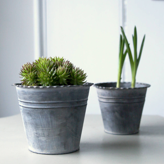 Metal Crimped Edge Plant Pot
