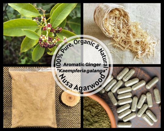 Dried Bark/Powder Capsule - Sandalwood White Sandal Tree Santalum Album Organic 100% Non Gmo Fresh Tea