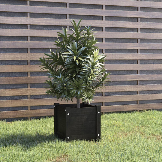 Asupermall - Garden Planter Black 31x31x31 cm Solid Pinewood