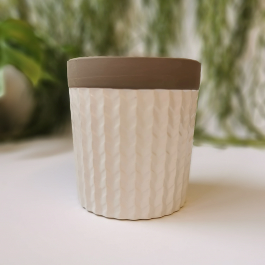 Chevron Planter/Pot | Optional Mother in Law's Tongue