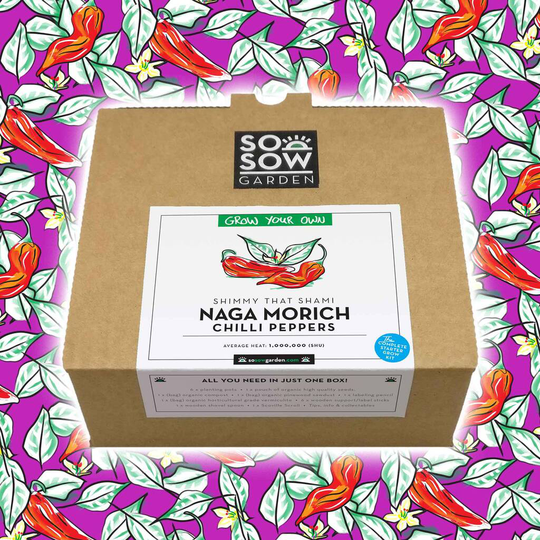 Naga Morich Chilli Pepper Grow Your Own Kit