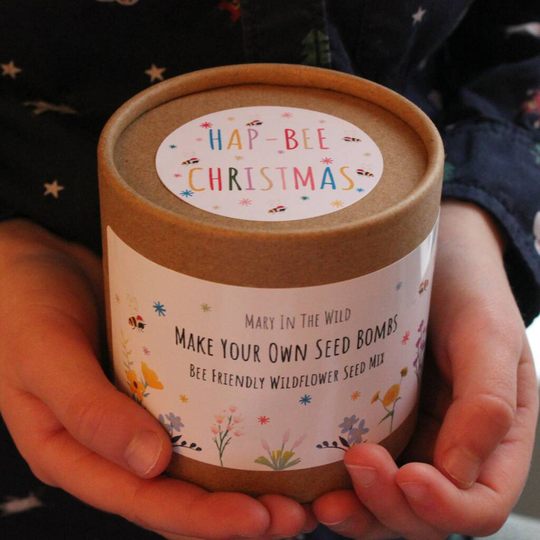 Hap Bee Christmas Make Your Own Bee Seed Bomb Kit