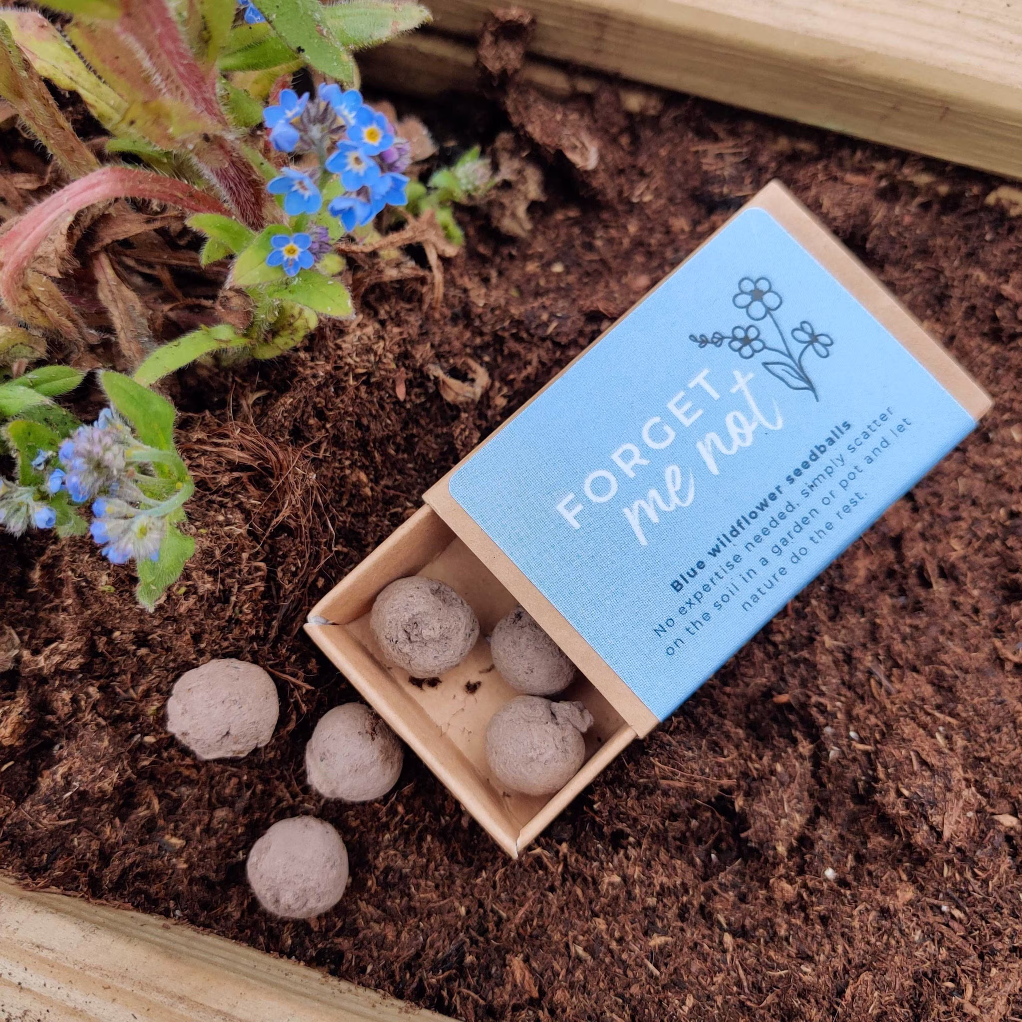 Forget Me Not Seedballs // Eco Friendly Seed Bombs Gift