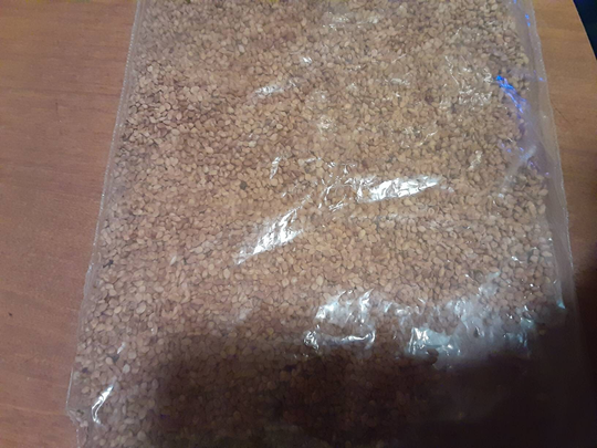 Black Mulberry Tree Seeds