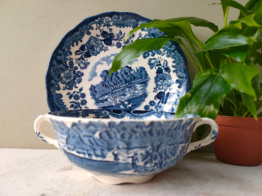 Lovely Vintage Royal Worcester Palissy Twin Handled Soup Bowl/Cup & Saucer Planter. 1790 Avon Scenes Pattern. Cactus Or Succulent