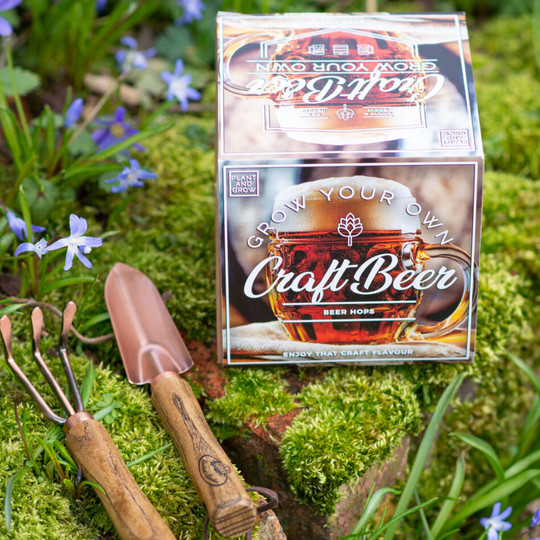 Grow Your Own Craft Beer