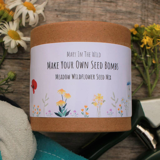 Make Your Own Wildflower Meadow Seed Bombs