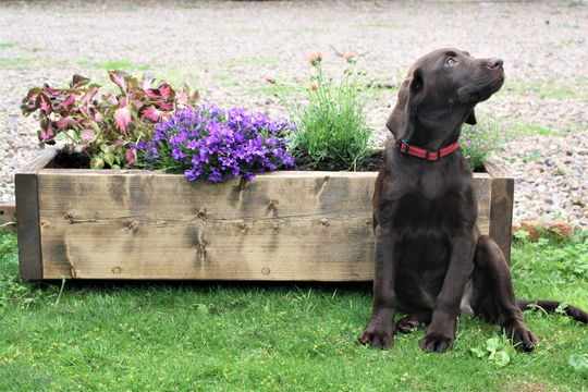 Large Solid Wood Garden Planter, Rustic Reclaimed Style, Strong Wooden Plant Pot, Herb