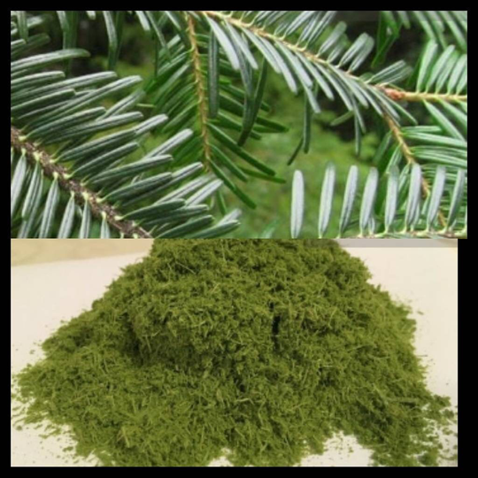 Pine Powder, European White Fir Needle Powder, Abies Alba, Organic, Tea, Infusion Natural Powder