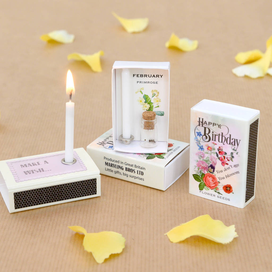 February Birth Flower Seeds And Birthday Candle Gift