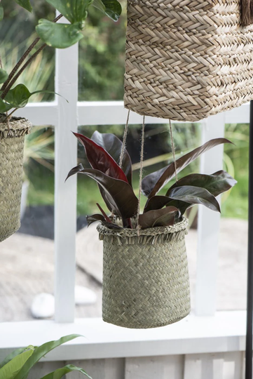 Hanging Basket W/Jute String