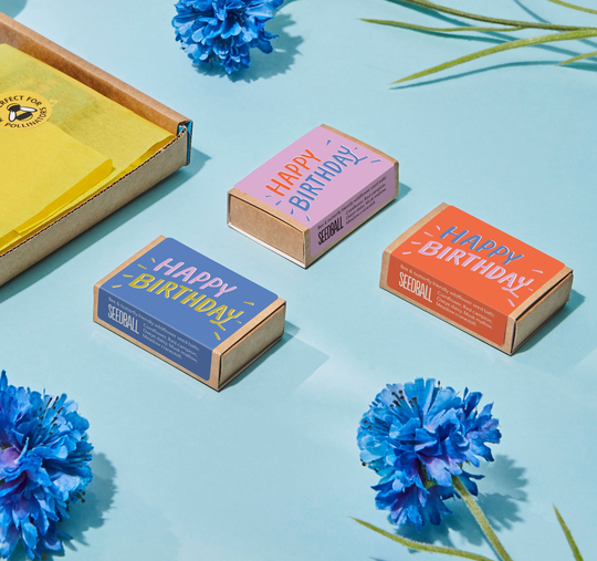Happy Birthday Bee Friendly Wildflower Seed Boxes