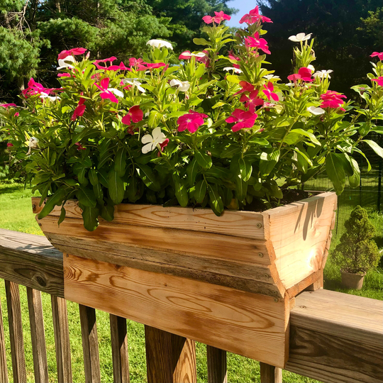 Planterrail For Herbs & Flowers
