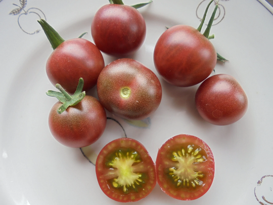 Black Cherry Tomato Seeds, Indeterminate Heirloom Black Cherry Tomatoes, Rare 15 Seeds