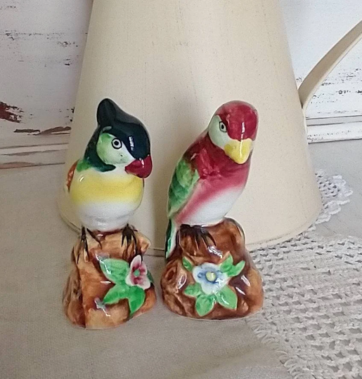 Vintage Bird Salt & Pepper Shakers Set Made in Japan Colorful Birds Kitchen Decor Ceramic Porcelain Tropical
