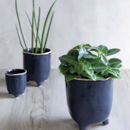 Ink Tulip Cup Planters