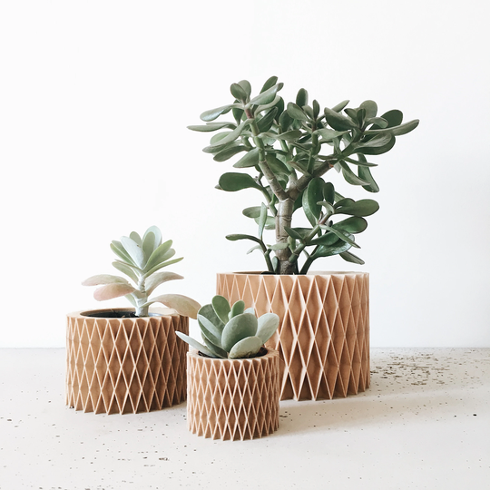 Indoor Planter Perfect For Succulents Or Cacti - Croix