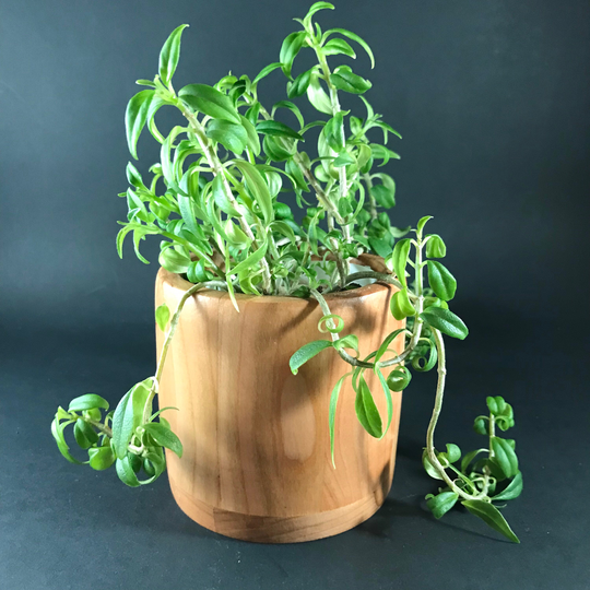 Cherry Wood Indoor Planter Round