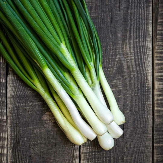 200 Organic Green Onion Seeds | Tokyo Long Bunching Onions Non Gmo Vegetable Garde Scallion Seed Indoor Outdoor By Seedstocherish