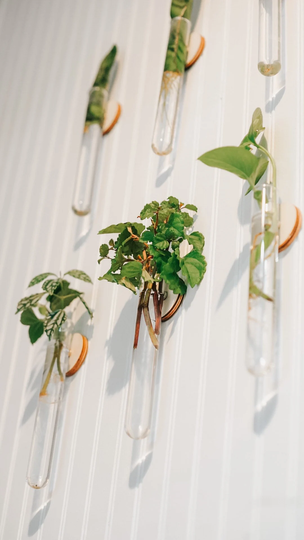 Virtual Plant Consultation