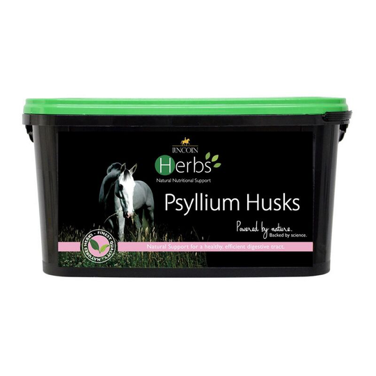 Psyllium Husks (1.5kg) (One Size) (May Vary) - May Vary - Lincoln Herbs