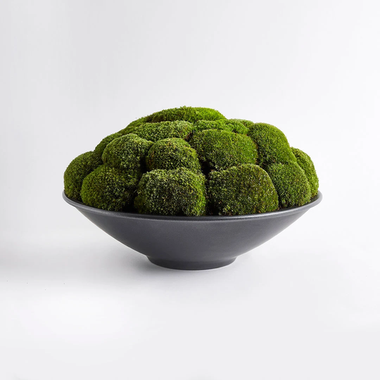 Anthracite Moss Bowl