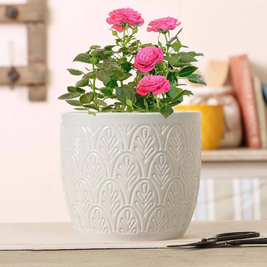Dentelle Vintage Patterned Ceramic Planter