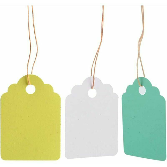 Set of 300 reusable PVC labels for garden plants - hang tags - flower markers - dimension: 3.6 x 2.5 cm,