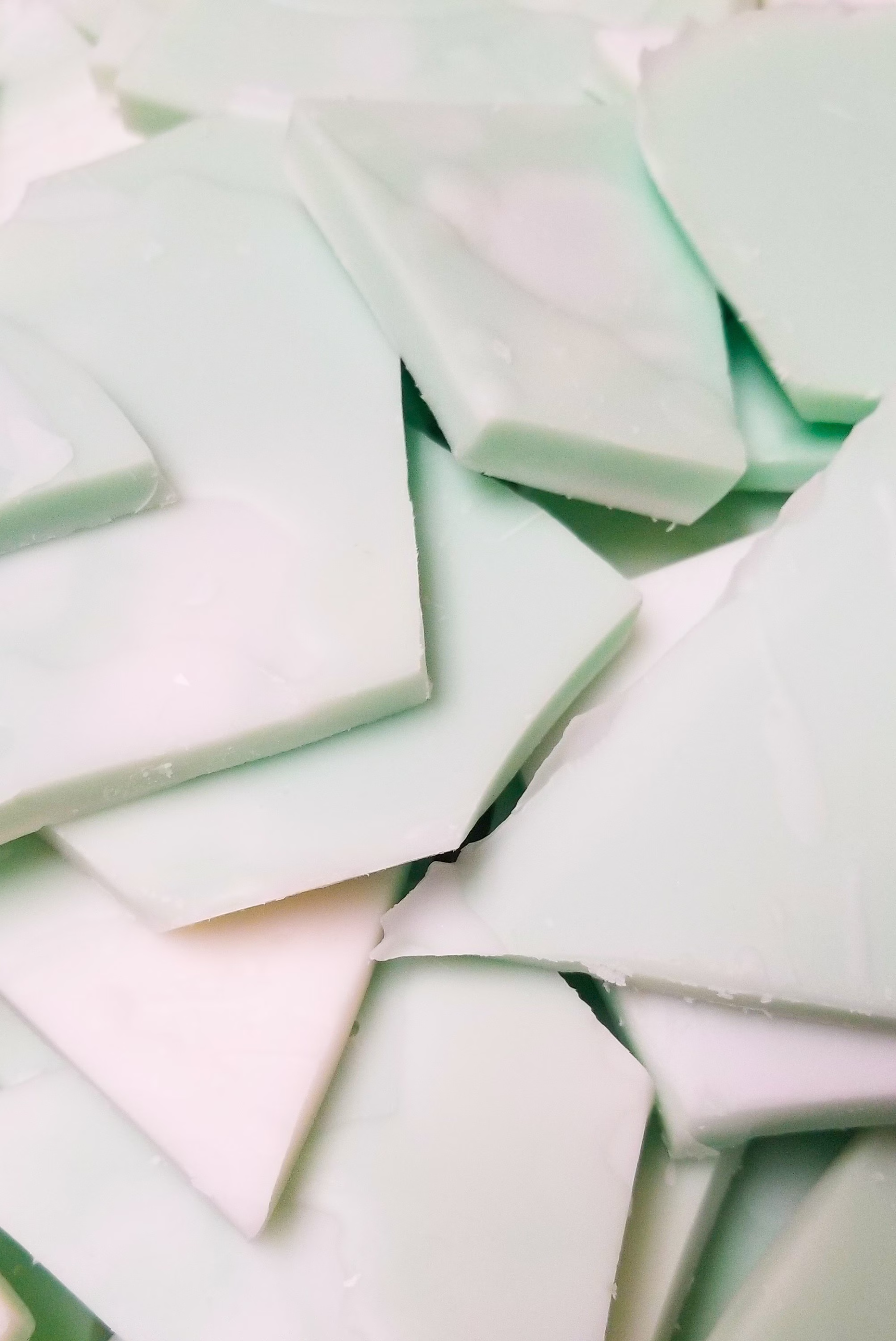 Cactus & Sea Salt Wax Brittle