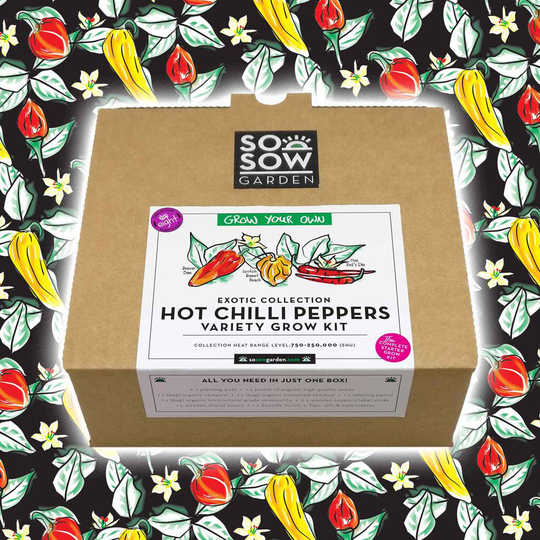 Chilli Pepper Variety Grow Your Own Kit Volume Eight