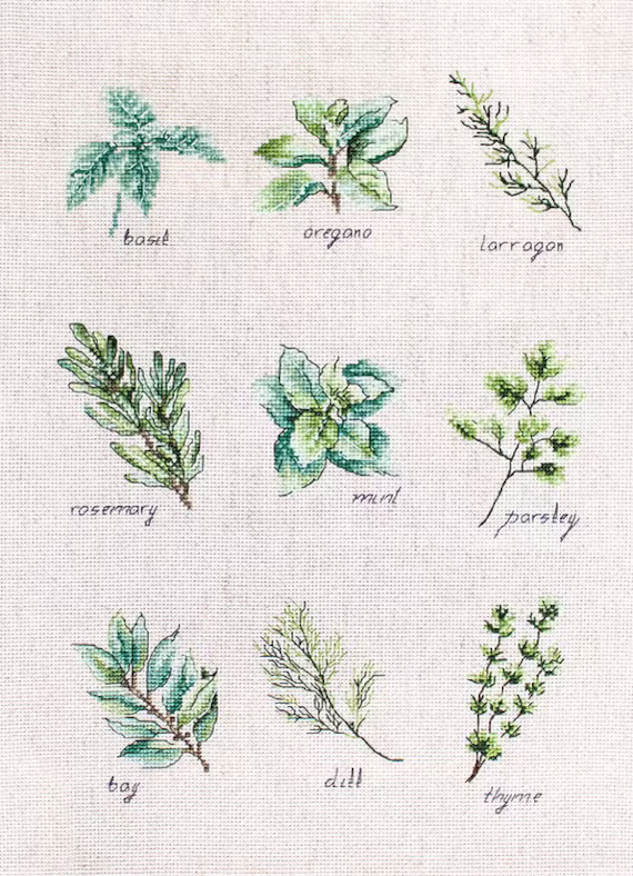 Cross Stitch Kit Luca-S - B2346 Spices & Herbs