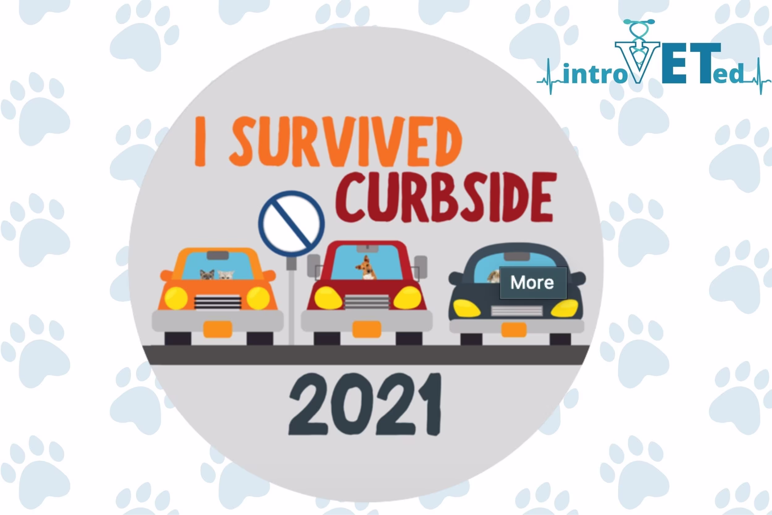 Curbside Sticker, 2021, Veterinary Medicine, Veterinarian Pickup, Survivor, Funny Sticker
