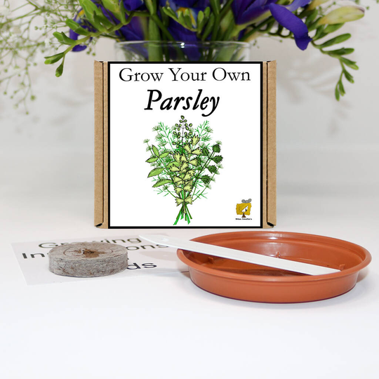 Grow Your Own Parsley Gift Set