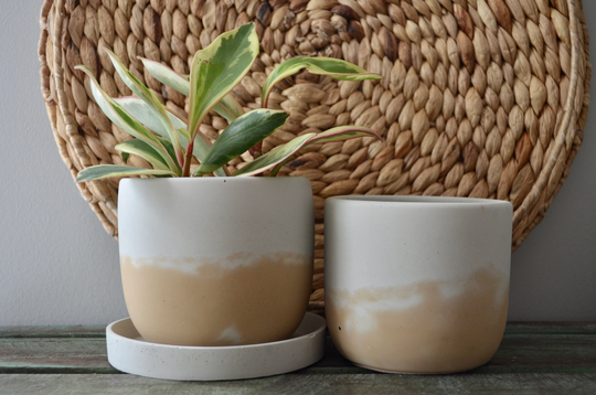 Desert Dunes Concrete Planter, Neutral Pot, Medium Planter With Drainage, 4 Inch Pots For Plants, Small Plant