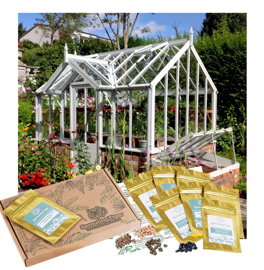 Ultimate Greenhouse Vegetable Seed Gift Set