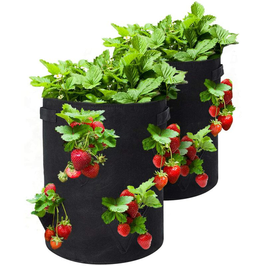 2 Pack 10 Gallon Strawberry Grow Bags Planter with 8 Side Grow Pockets, Breathable Non-woven Fabric Reinforce Handle Strawberry Growing Bag for