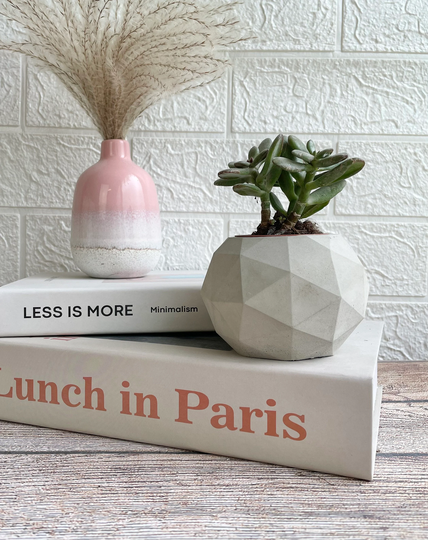 Concrete Geometric Planter-Cactus Planter-Succulent Planter-Concrete Vase-Concrete Home Decor-Concrete Plant Pot-Plants-Concrete Pot