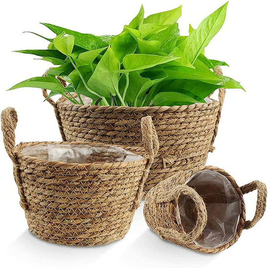 3 seagrass flower baskets with handle and plastic liner - Does not contain plants