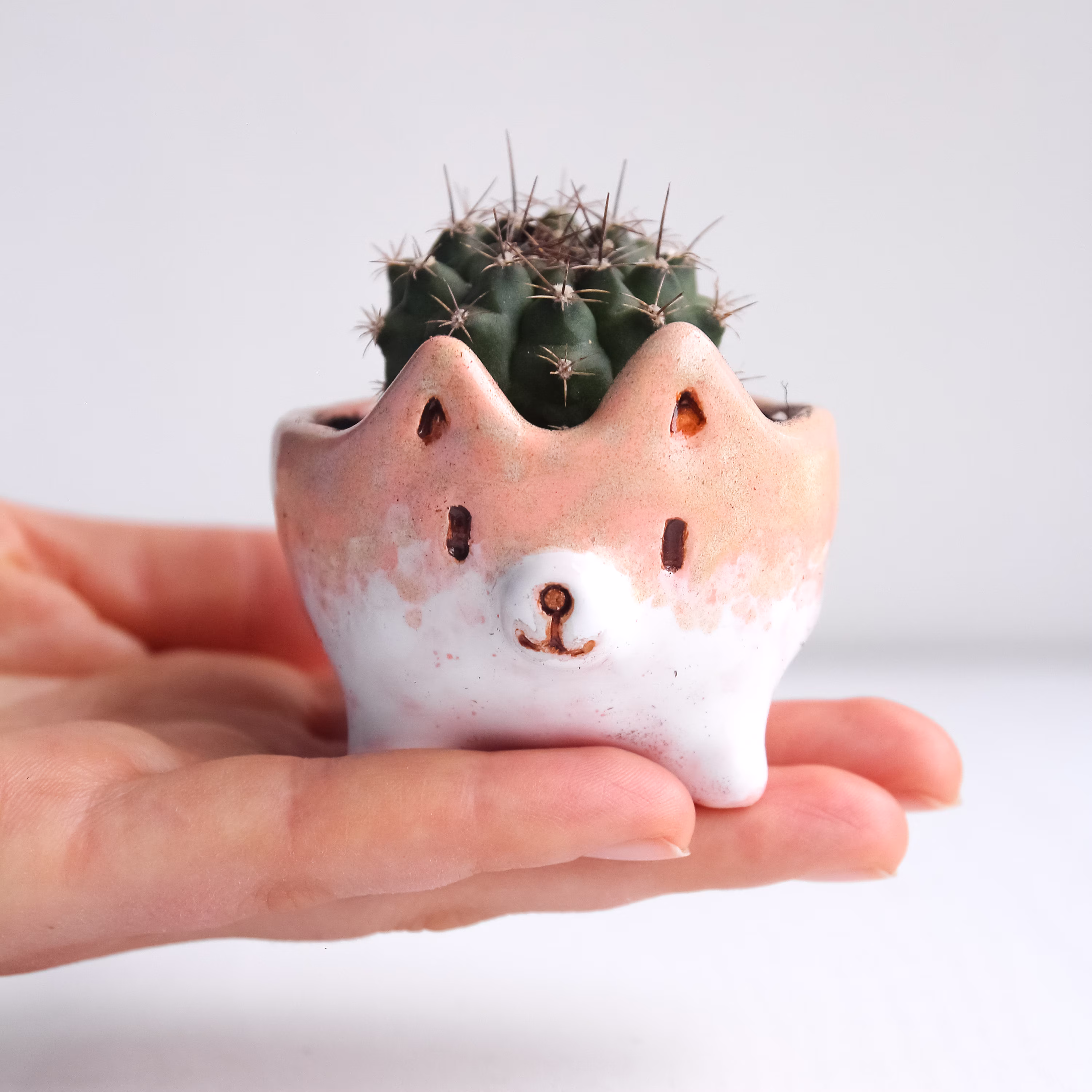 Ceramic Cactus Pot Indoor Succulent Pots, Handmade Planter, Succulent Flower Small Mini Pot, Corgi Lover Gift