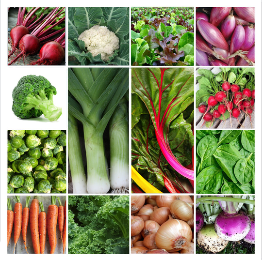 Save 25% | Thanksgiving Harvest Seed Kit Summer Sowing 14 Vegetable Packets Beet, Carrot, Brussel Sprouts, Kale, Swiss Chard & More