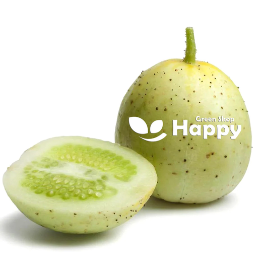 Vegetable - Cucumber Crystal Apple 20 Seeds Heirloom Cucumis Sativus