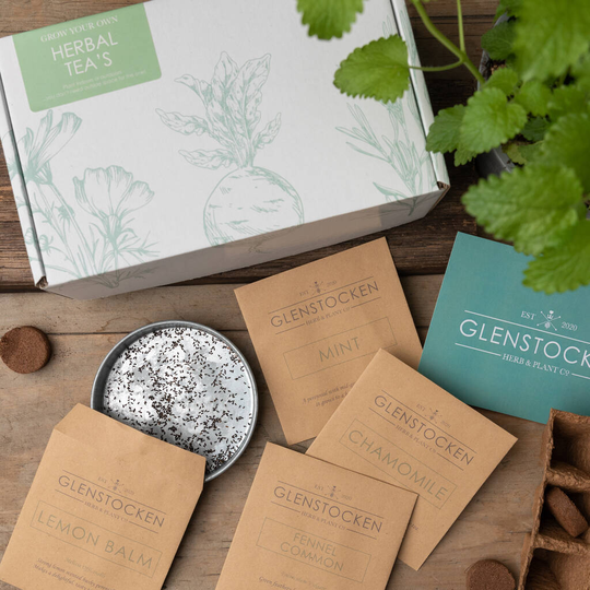 Grow Your Own Herbal Teas Kit