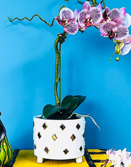 White And Gold Diamond Planter