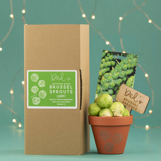 Christmas Brussel Sprout Seed Box Set